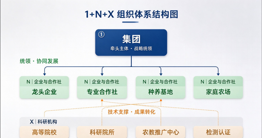 从作坊到集团：遂川茶产业的